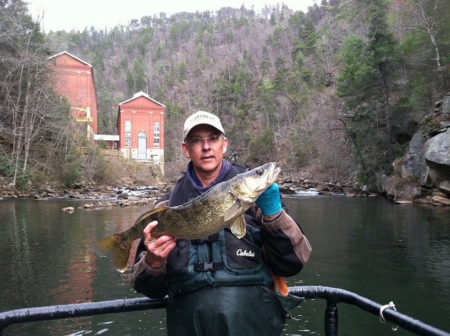 Laurel lake fishing report walleye